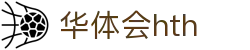 华体会官网入口指南 - hth.com 实时比分与赛程更新